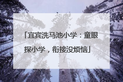 宜宾洗马池小学：童眼探小学，衔接没烦恼