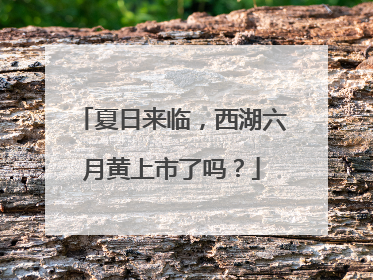 夏日来临，西湖六月黄上市了吗？