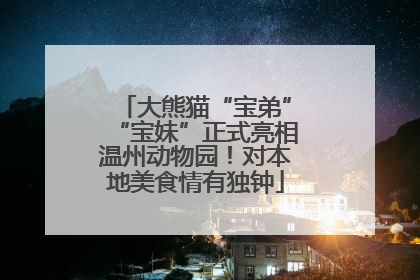 大熊猫“宝弟”“宝妹”正式亮相温州动物园！对本地美食情有独钟