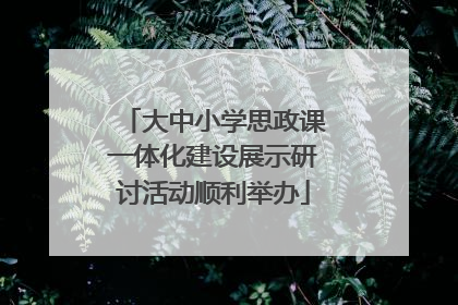 大中小学思政课一体化建设展示研讨活动顺利举办