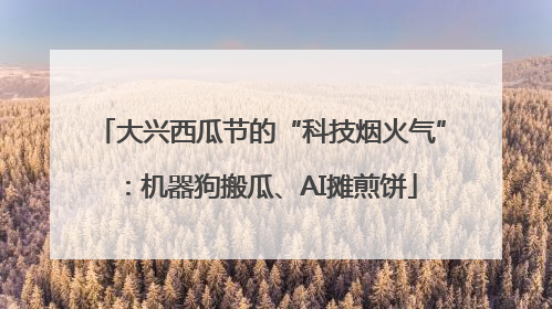 大兴西瓜节的“科技烟火气”：机器狗搬瓜、AI摊煎饼