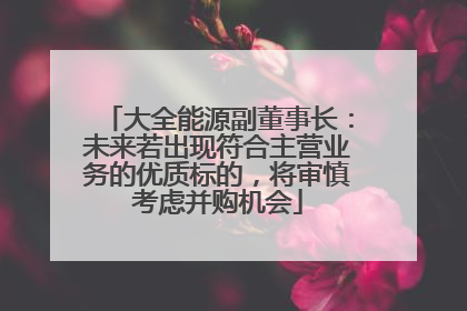大全能源副董事长：未来若出现符合主营业务的优质标的，将审慎考虑并购机会