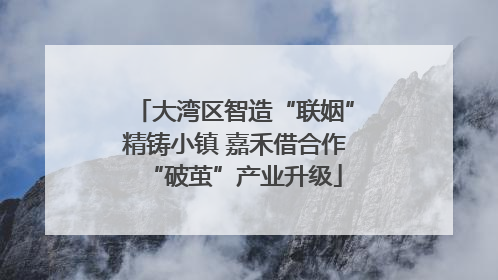大湾区智造“联姻”精铸小镇 嘉禾借合作“破茧”产业升级