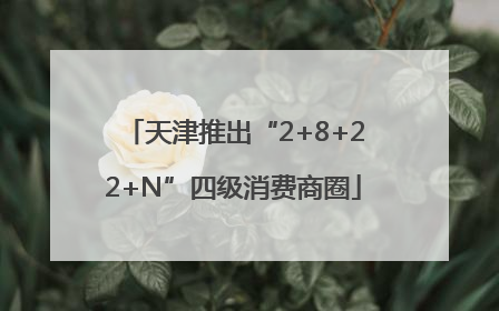 天津推出“2+8+22+N”四级消费商圈