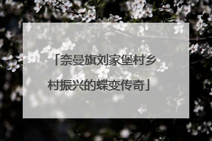 奈曼旗刘家堡村乡村振兴的蝶变传奇