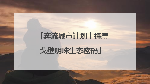 奔流城市计划丨探寻戈壁明珠生态密码