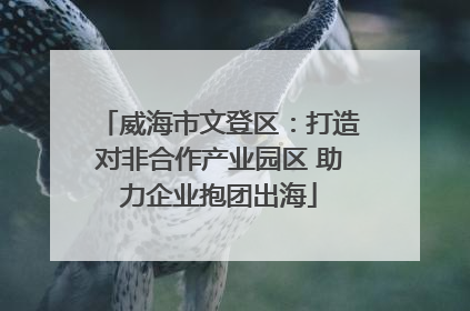威海市文登区：打造对非合作产业园区 助力企业抱团出海