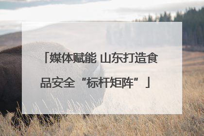 媒体赋能 山东打造食品安全“标杆矩阵”