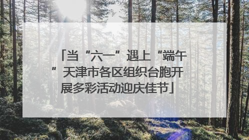 当“六一”遇上“端午”天津市各区组织台胞开展多彩活动迎庆佳节