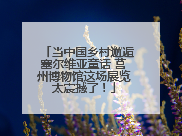 当中国乡村邂逅塞尔维亚童话 莒州博物馆这场展览太震撼了！