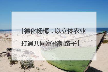 德化杨梅：以立体农业打通共同富裕新路子