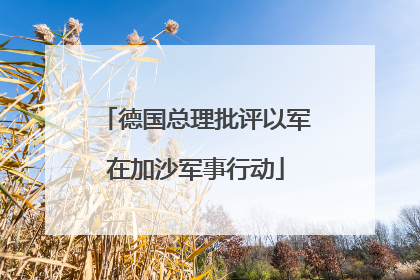 德国总理批评以军在加沙军事行动