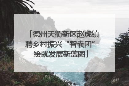 德州天衢新区赵虎镇聘乡村振兴“智囊团” 绘就发展新蓝图