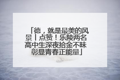 德，就是最美的风景丨点赞！乐陵两名高中生深夜拾金不昧 彰显青春正能量