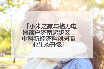 小米之家与格力电器落户济南起步区，中科新经济科创园商业生态升级