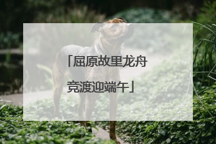 屈原故里龙舟竞渡迎端午