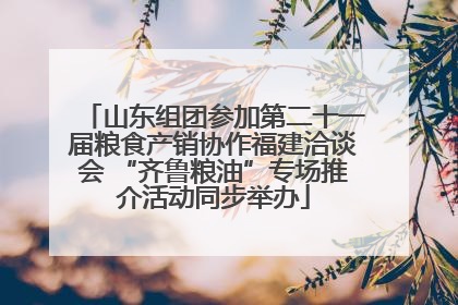 山东组团参加第二十一届粮食产销协作福建洽谈会 “齐鲁粮油”专场推介活动同步举办