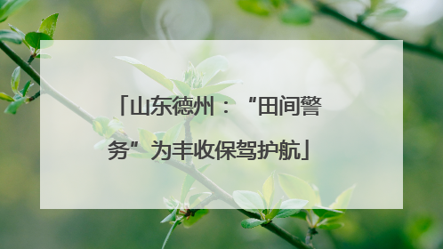 山东德州：“田间警务”为丰收保驾护航