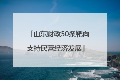 山东财政50条靶向支持民营经济发展