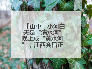 山中一小河白天是“清水河”晚上成“黄水河”，江西会昌正在溯源，已有企业被要求停工