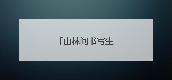 山林间书写生态守护故事