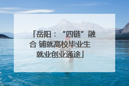 岳阳：“四链”融合 铺就高校毕业生就业创业通途