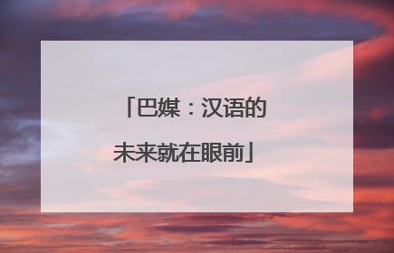 巴媒：汉语的未来就在眼前
