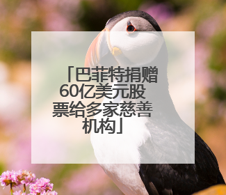 巴菲特捐赠60亿美元股票给多家慈善机构