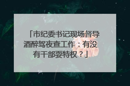 市纪委书记现场督导酒醉驾夜查工作：有没有干部耍特权？