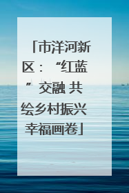 市洋河新区：“红蓝”交融 共绘乡村振兴幸福画卷