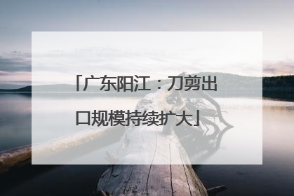 广东阳江：刀剪出口规模持续扩大