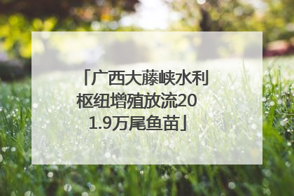 广西大藤峡水利枢纽增殖放流201.9万尾鱼苗
