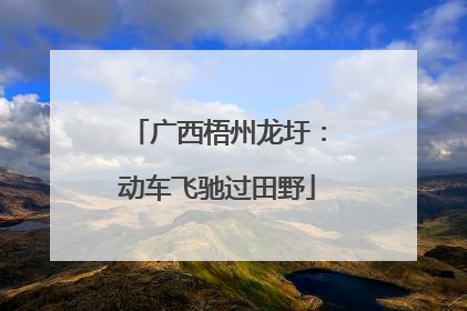 广西梧州龙圩：动车飞驰过田野