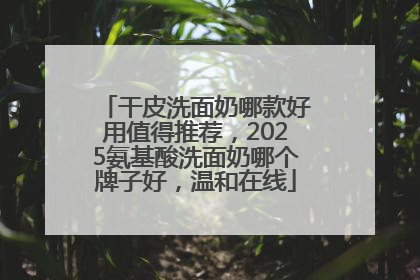干皮洗面奶哪款好用值得推荐，2025氨基酸洗面奶哪个牌子好，温和在线