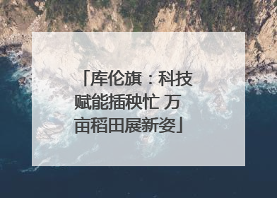 库伦旗：科技赋能插秧忙 万亩稻田展新姿