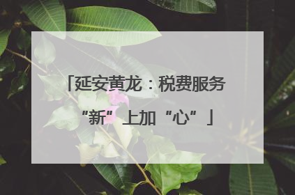 延安黄龙：税费服务“新”上加“心”