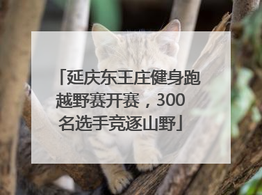 延庆东王庄健身跑越野赛开赛，300名选手竞逐山野