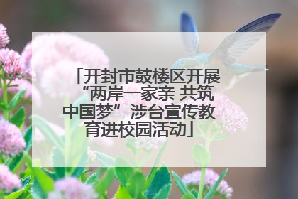 开封市鼓楼区开展“两岸一家亲 共筑中国梦”涉台宣传教育进校园活动