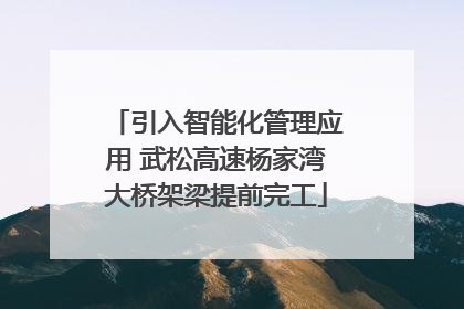 引入智能化管理应用 武松高速杨家湾大桥架梁提前完工