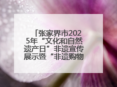 张家界市2025年“文化和自然遗产日”非遗宣传展示暨“非遗购物节”活动在慈利县盛大启幕