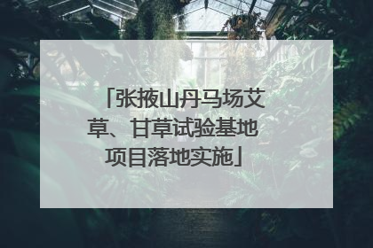 张掖山丹马场艾草、甘草试验基地项目落地实施