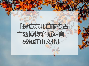 探访东北首家考古主题博物馆 近距离感知红山文化
