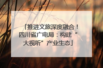 推进文旅深度融合！四川省广电局：构建“大视听”产业生态