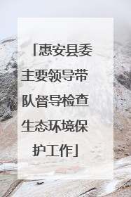惠安县委主要领导带队督导检查生态环境保护工作