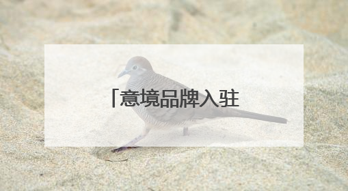 意境品牌入驻苏州吴江震泽古镇，“震泽四宝”对外发布！