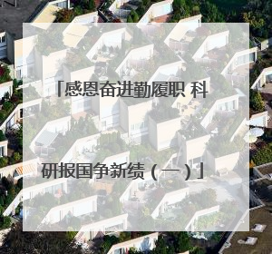 感恩奋进勤履职 科研报国争新绩（一）