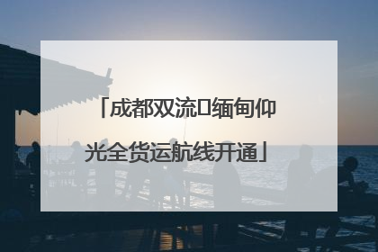 成都双流⇌缅甸仰光全货运航线开通