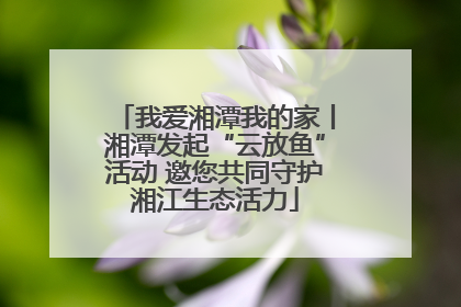 我爱湘潭我的家丨湘潭发起“云放鱼”活动 邀您共同守护湘江生态活力