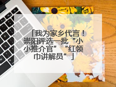 我为家乡代言！崇阳评选一批“小小推介官”“红领巾讲解员”