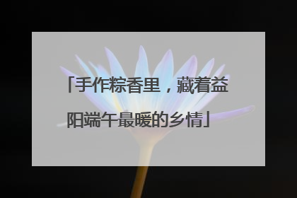 手作粽香里，藏着益阳端午最暖的乡情
